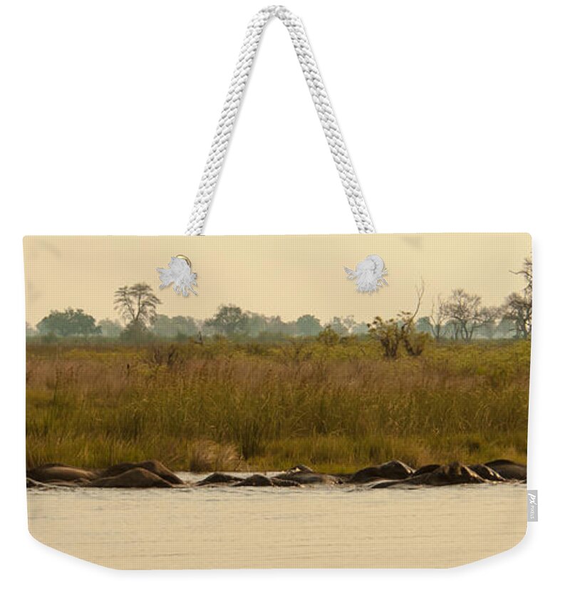 Africa Weekender Tote Bag featuring the photograph River crossing #1 by Alistair Lyne