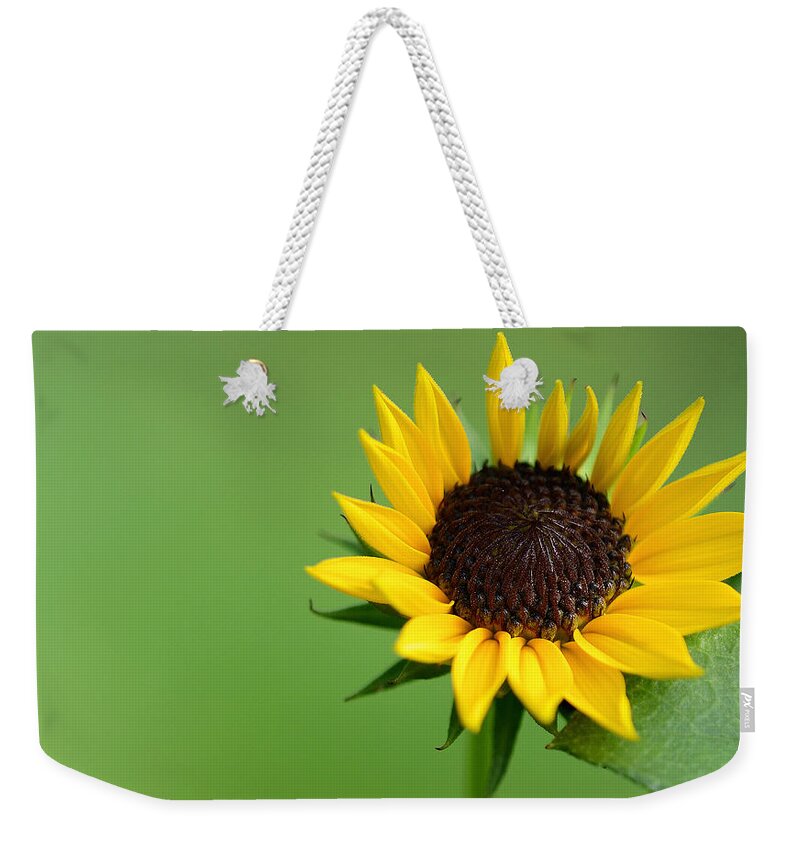 Flower Weekender Tote Bag featuring the photograph Sensitivity #2 by Melanie Moraga