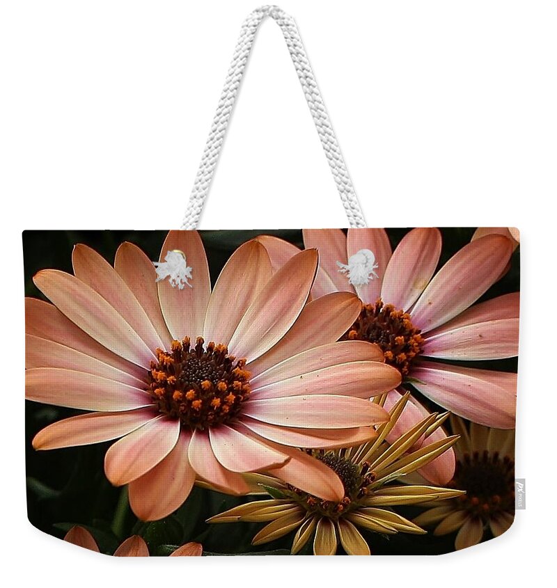 Flora Weekender Tote Bag featuring the photograph She Loves Me She Loves Me Not by Bruce Bley