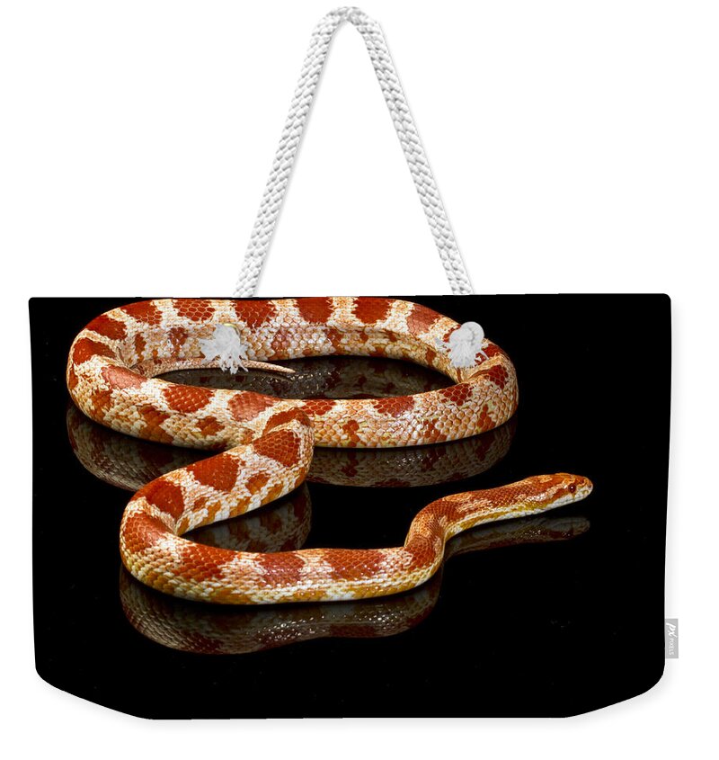Snake Weekender Tote Bag featuring the photograph Snake #1 by Gunnar Orn Arnason