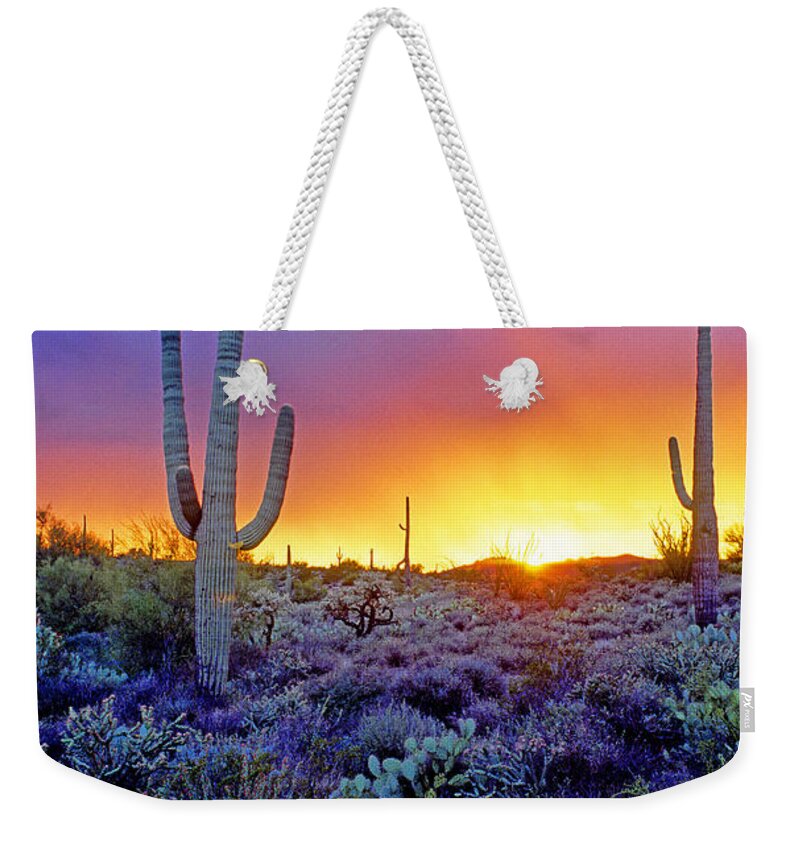 Sonoran Weekender Tote Bag featuring the photograph Sonoran Desert At Dusk #3 by Adam Sylvester