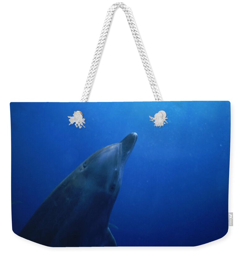 Atoll Weekender Tote Bag featuring the photograph South Pacific - French Polynesia #1 by Peter McBride