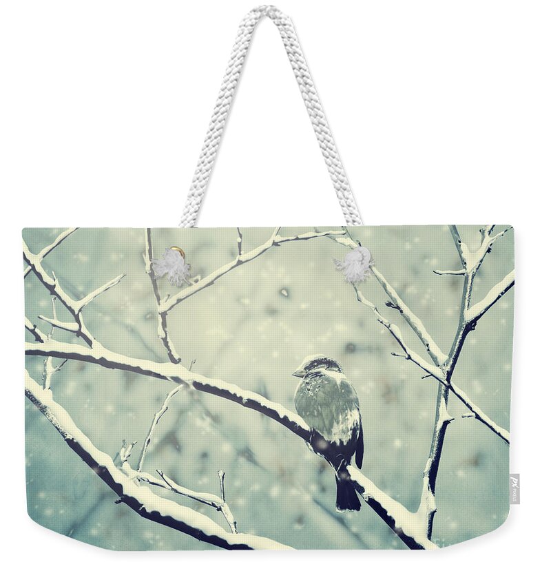 Winter Weekender Tote Bag featuring the photograph Sparrow on the snowy branch by Jelena Jovanovic