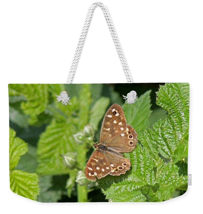 Speckled Wood Butterfly Weekender Tote Bag featuring the photograph Speckled Wood Butterfly #1 by Tony Murtagh