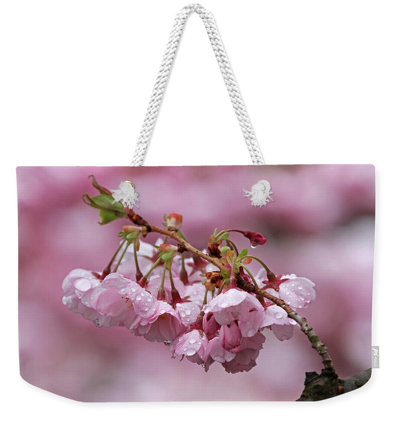 Spring Weekender Tote Bag featuring the photograph Spring Blossoms #2 by Juergen Roth