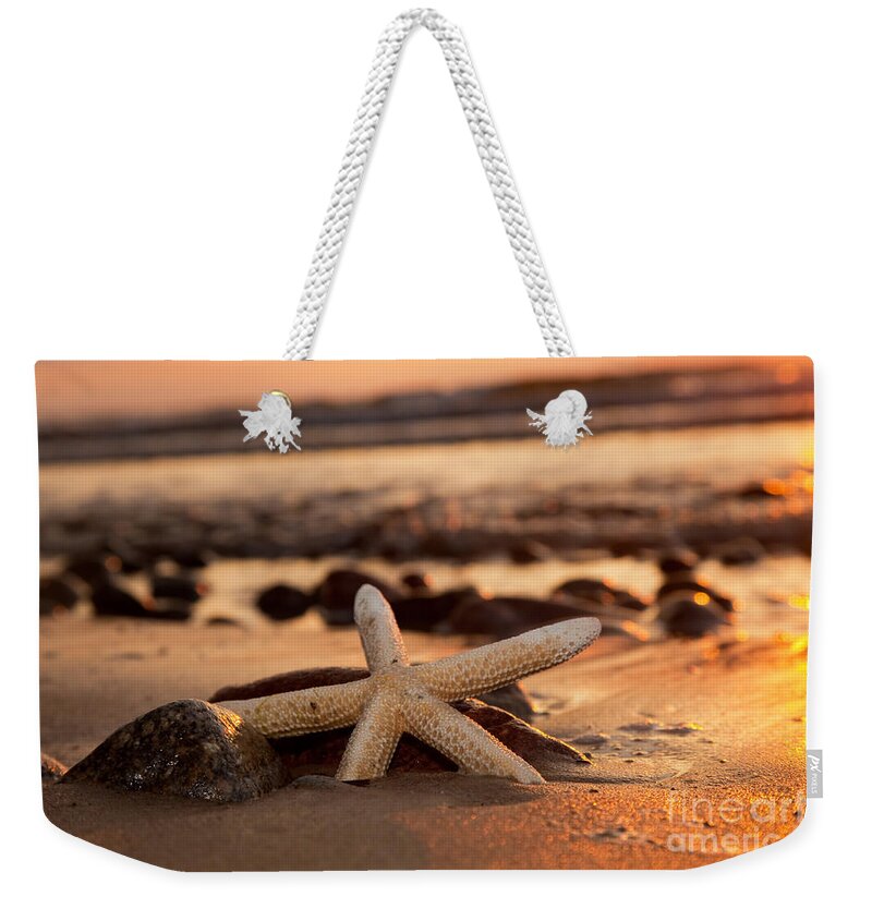 Starfish Weekender Tote Bag featuring the photograph Starfish on the beach at sunset #1 by Michal Bednarek