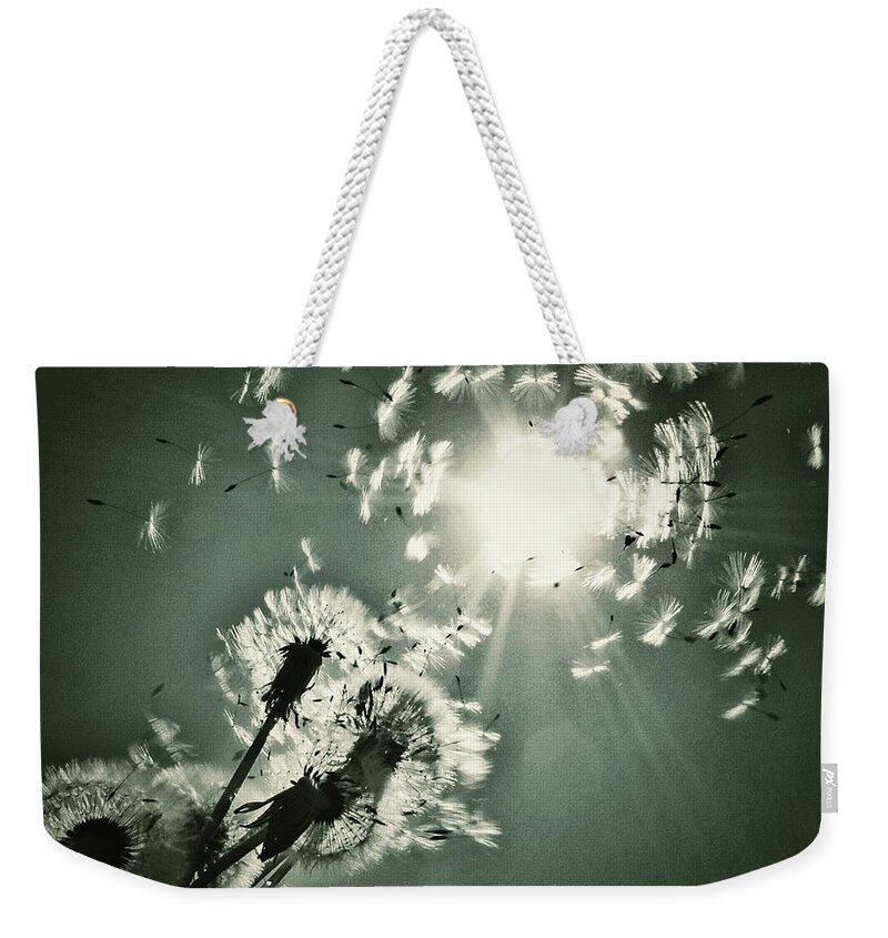 Sun Dance Weekender Tote Bag featuring the photograph Sundance #1 by Marianna Mills