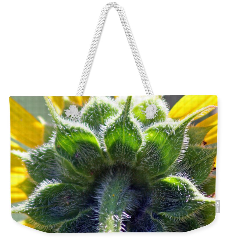 Sunflower Weekender Tote Bag featuring the photograph Sunflower Close-up #1 by Karen Adams