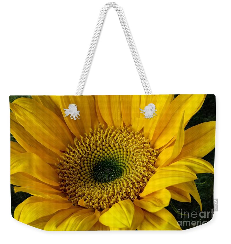 Flower Weekender Tote Bag featuring the photograph Sunflower #1 by Shirley Mangini