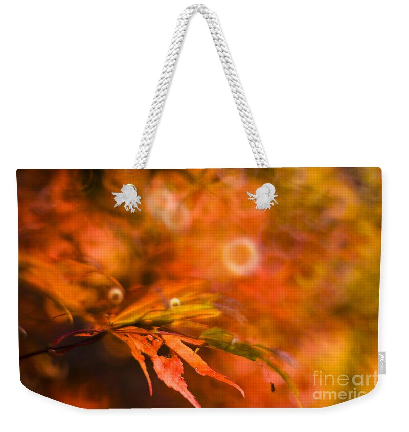 Autumn Weekender Tote Bag featuring the photograph Surprised Leaf #1 by Ang El