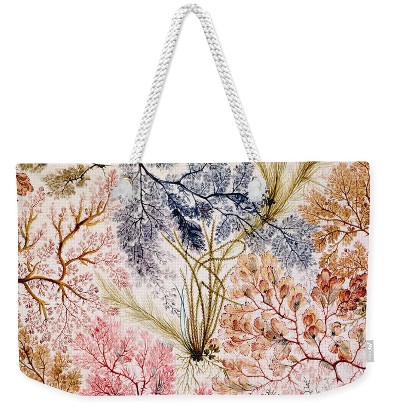 William Weekender Tote Bag featuring the painting Textile design by William Kilburn