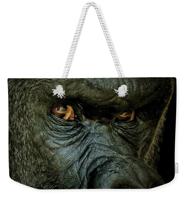 Animals Weekender Tote Bag featuring the photograph The Look #1 by Ernest Echols