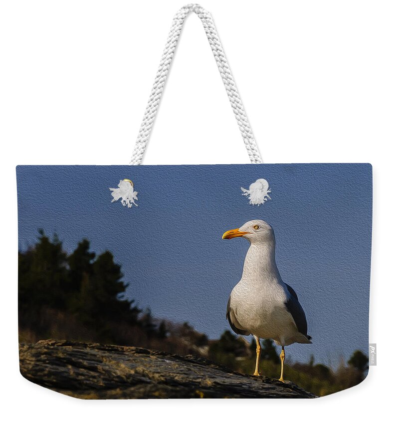 2010 Weekender Tote Bag featuring the photograph The Observer-Oil by Mark Myhaver