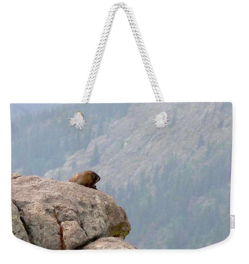 Marmot Weekender Tote Bag featuring the photograph The View #1 by Laurel Powell
