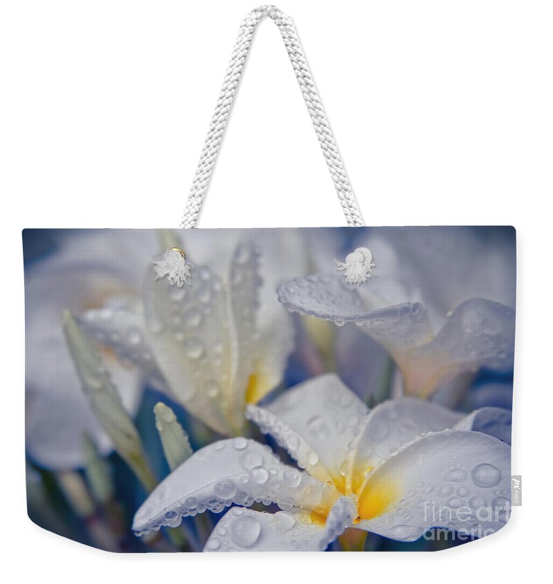 Plumeria Weekender Tote Bag featuring the photograph The Wind of Love by Sharon Mau