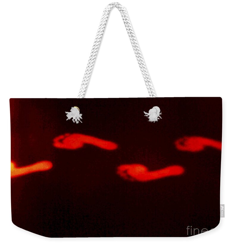 Barefoot Weekender Tote Bag featuring the photograph Thermogram Of Thermal Footprints #1 by GIPhotoStock