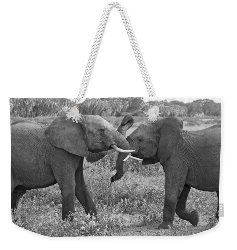 Africa Weekender Tote Bag featuring the photograph Time to Play #1 by Michele Burgess