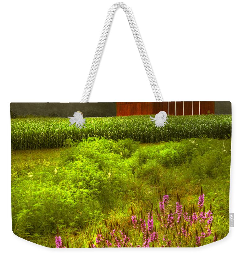 Barn Weekender Tote Bag featuring the photograph Touched by the Sun #2 by Debra and Dave Vanderlaan