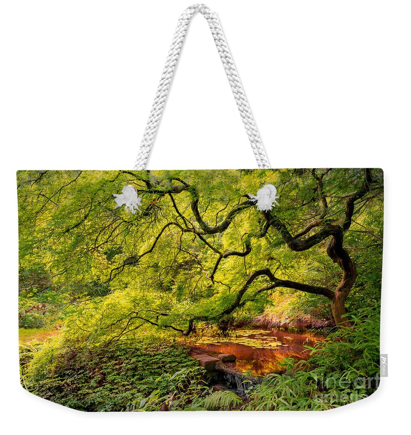  Weekender Tote Bag featuring the photograph Tranquil Shade by Mark Rogers