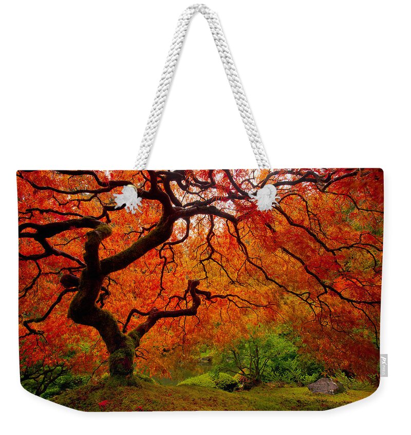 Autumn Weekender Tote Bag featuring the photograph Tree Fire by Darren White
