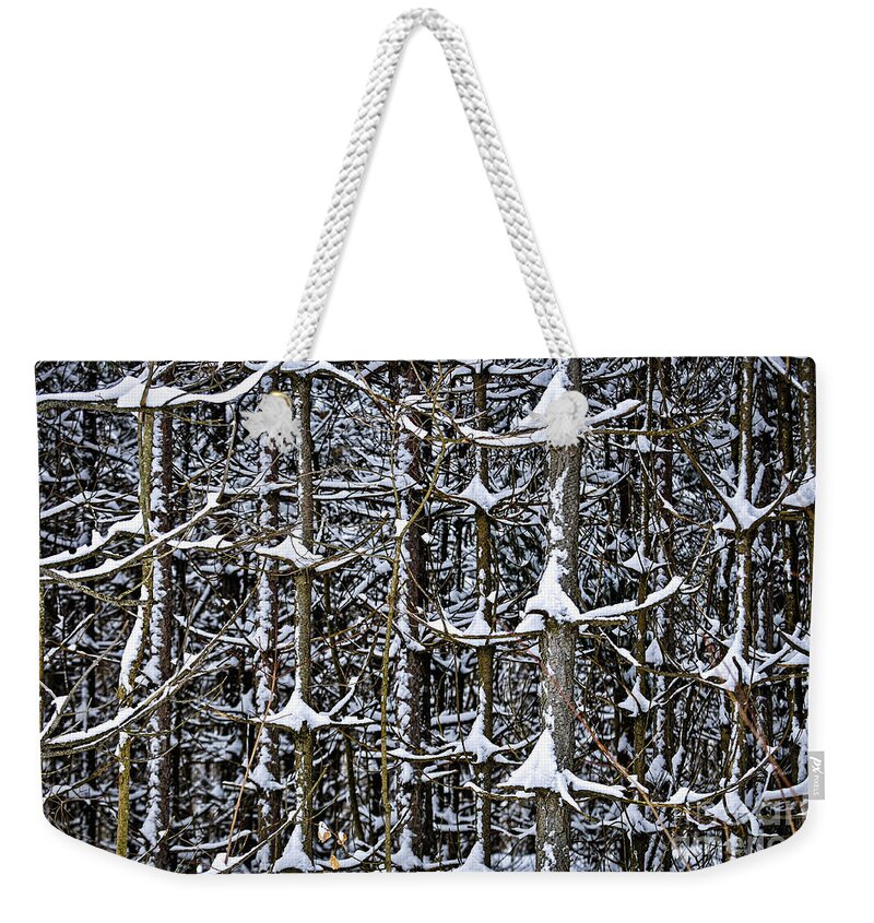 Winter Weekender Tote Bag featuring the photograph Tree trunks in winter 1 by Elena Elisseeva