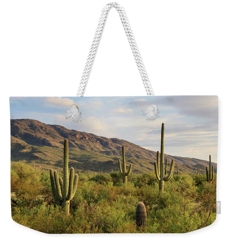 Saguaro Cactus Weekender Tote Bag featuring the photograph Usa, Arizona, Tucson, Saguaro National #1 by Michele Falzone