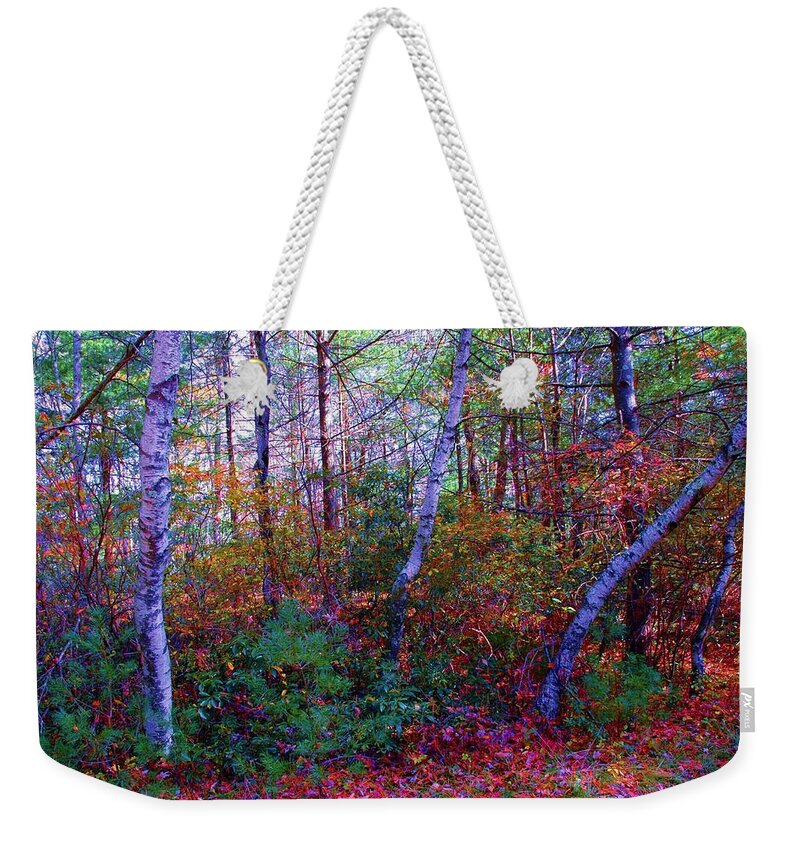 Birch Weekender Tote Bag featuring the photograph White Birch - Pocono Mountains #1 by Susan Carella