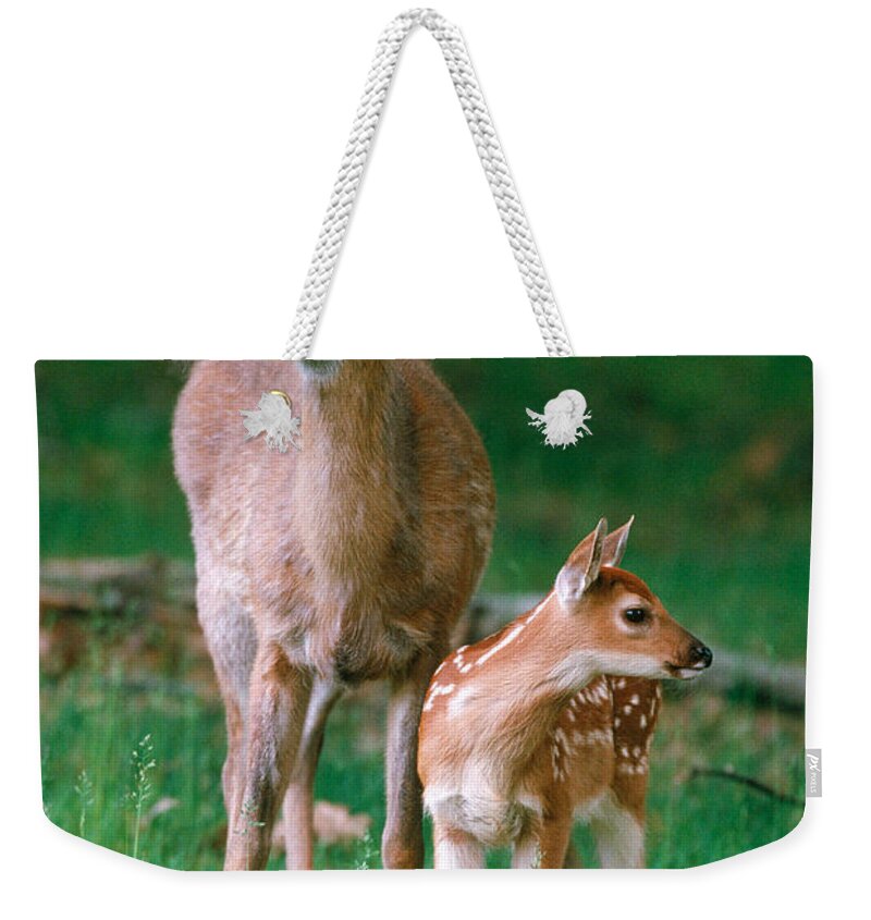 White-tailed Deer Weekender Tote Bag featuring the photograph Whitetail Doe And Fawn #1 by Stephen J. Krasemann