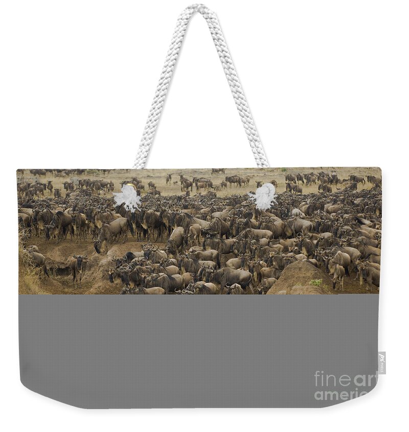 Africa Weekender Tote Bag featuring the photograph Wildebeests Crossing Mara River, Kenya #1 by John Shaw