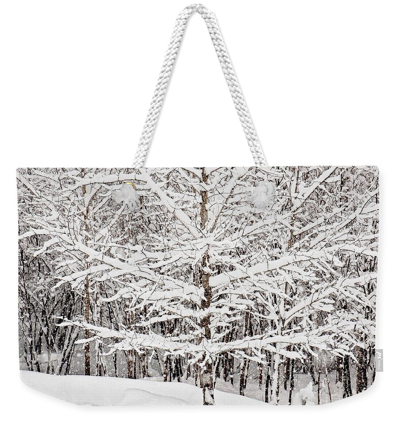 Winter Store Print Weekender Tote Bag featuring the photograph Winter Storm Print #1 by Gwen Gibson