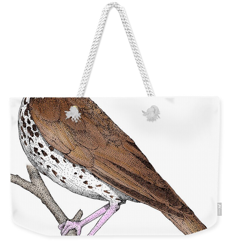 Animal Weekender Tote Bag featuring the photograph Wood Thrush #1 by Roger Hall