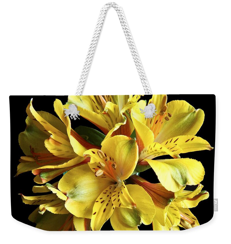 Flowers Weekender Tote Bag featuring the photograph Yellow Alstroemerias I Still Life Flower Art Poster by Lily Malor