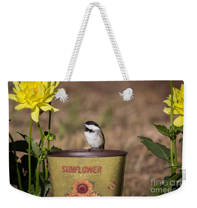 Animalia Weekender Tote Bag featuring the photograph Black-capped Chickadee Poecile #12 by Linda Freshwaters Arndt