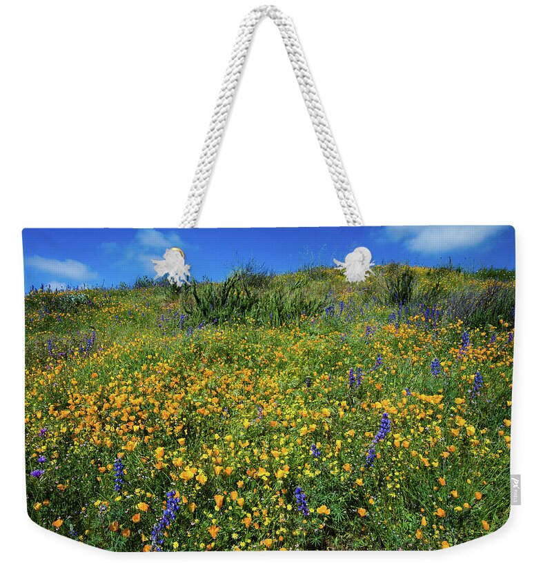 Photography Weekender Tote Bag featuring the photograph California Poppies Eschscholzia #10 by Panoramic Images