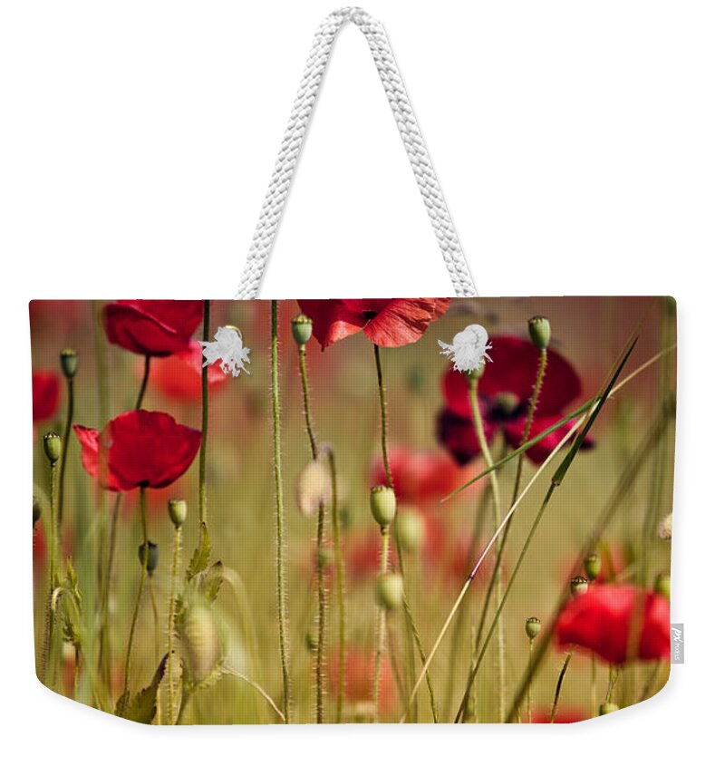 Poppy Weekender Tote Bag featuring the photograph Summer Poppy by Nailia Schwarz