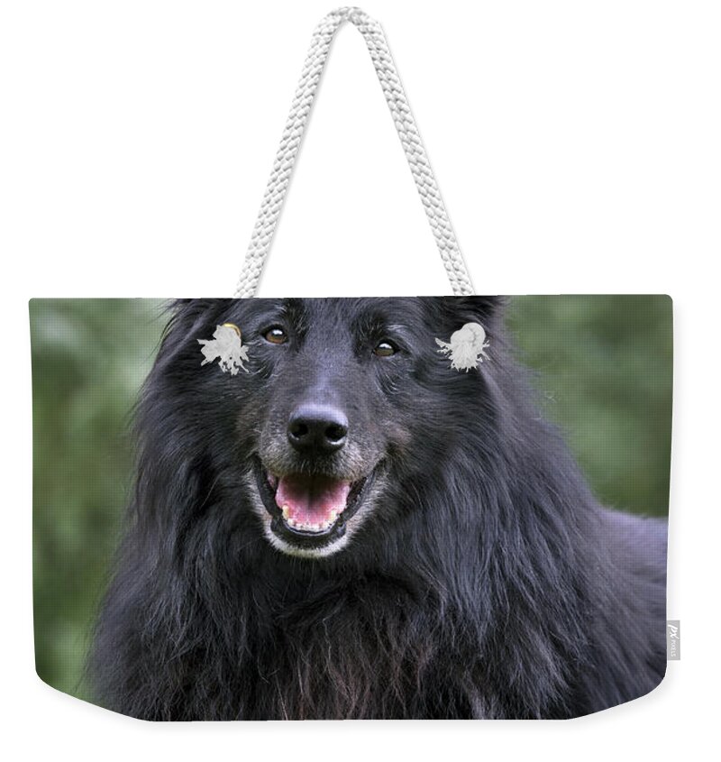 Groenendael Weekender Tote Bag featuring the photograph 110801p102 by Arterra Picture Library