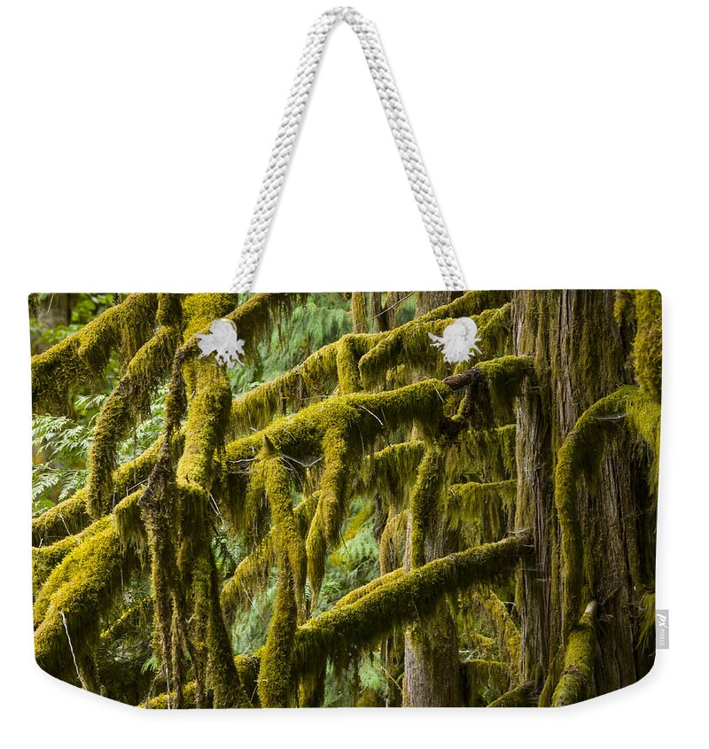 Cascades Weekender Tote Bag featuring the photograph 110914-137 North Cascade Rain Forest by Albert Seger