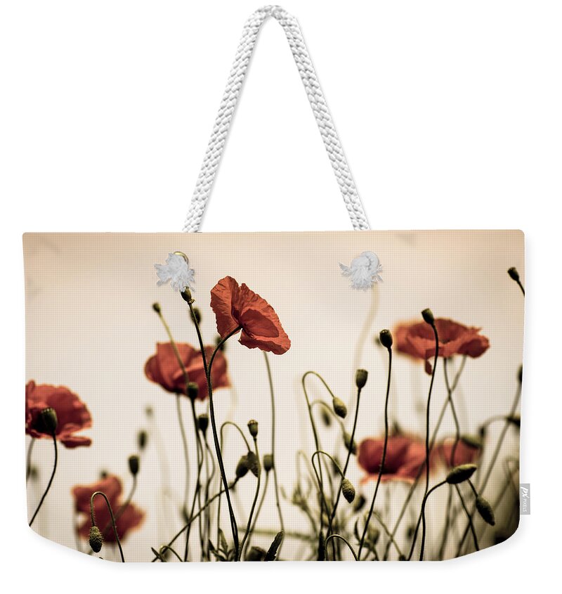 Poppy Weekender Tote Bag featuring the photograph Poppy Meadow #12 by Nailia Schwarz