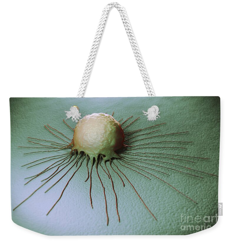 Cells Weekender Tote Bag featuring the photograph Breast Cancer Cell #2 by Science Picture Co