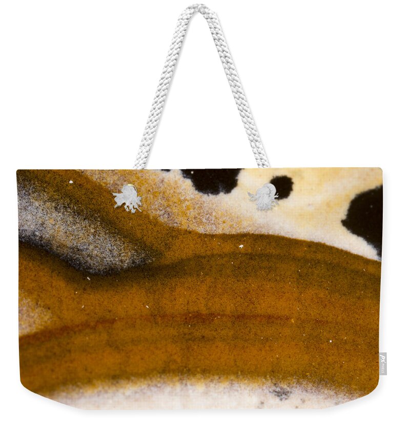 Design Weekender Tote Bag featuring the photograph Rock Star #14 by Jean Noren