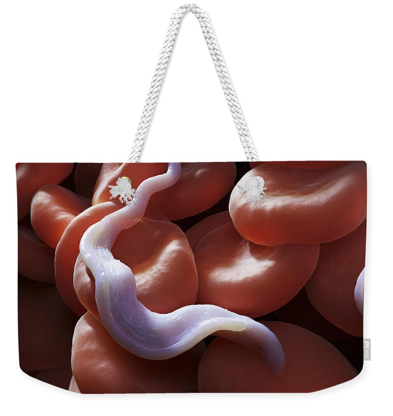 Infection Weekender Tote Bag featuring the photograph Sleeping Sickness Infection #14 by Science Picture Co