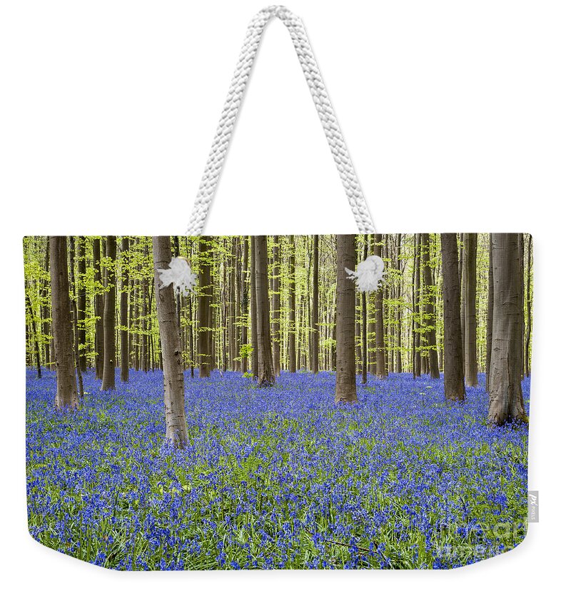 Bluebells Weekender Tote Bag featuring the photograph 140420p006 by Arterra Picture Library