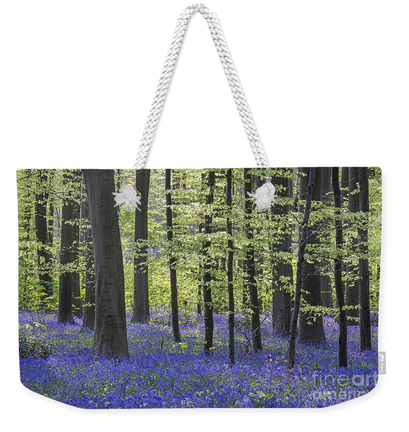 Bluebells Weekender Tote Bag featuring the photograph 140420p059 by Arterra Picture Library