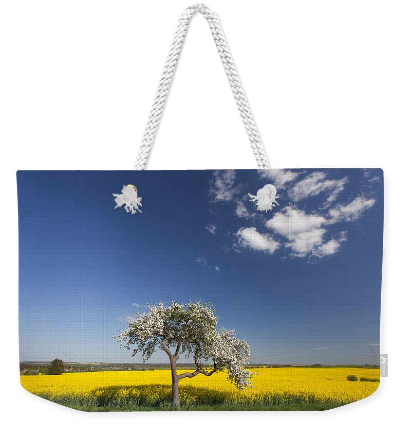 Rape Weekender Tote Bag featuring the photograph 141114p107 by Arterra Picture Library