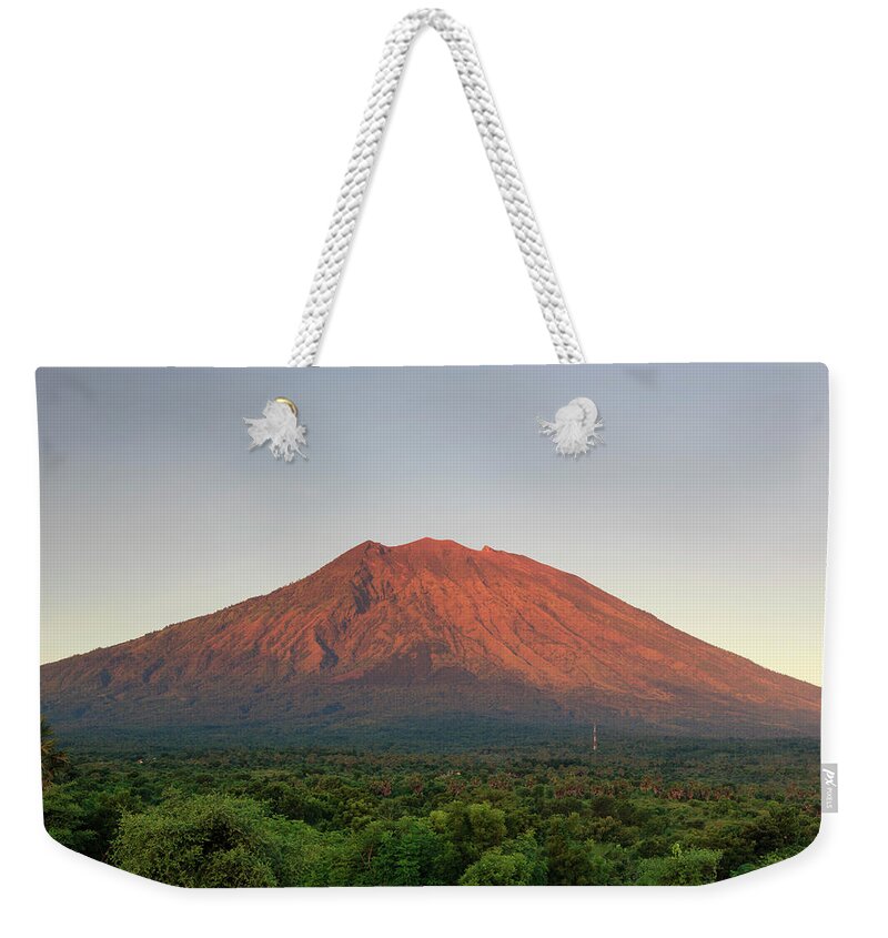 Scenics Weekender Tote Bag featuring the photograph Indonesia, Bali, Rice Fields And #15 by Michele Falzone