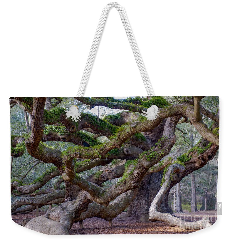 Angel Oak Tree On Johns Island Sc Weekender Tote Bag featuring the photograph Angel Oak Tree Unique View by Dale Powell
