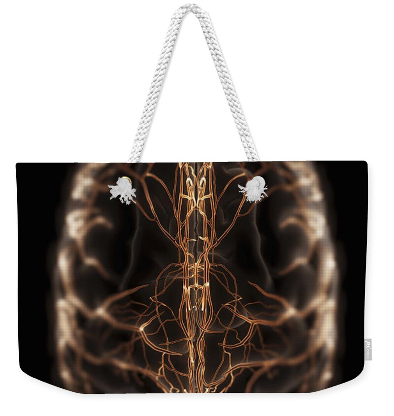 3d Visualisation Weekender Tote Bag featuring the photograph Brain With Blood Supply #19 by Science Picture Co
