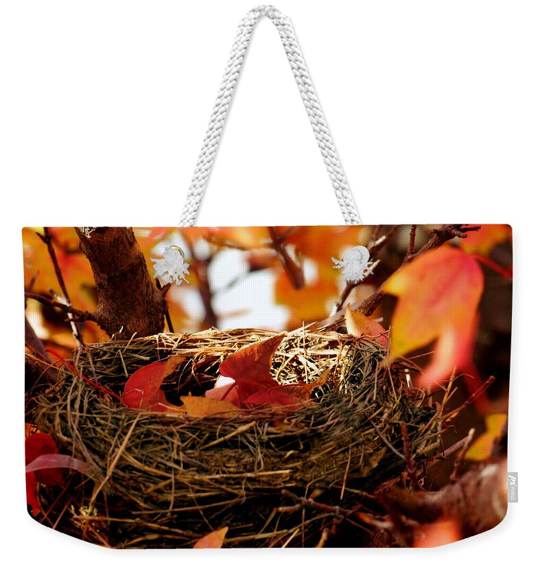 Autumn Weekender Tote Bag featuring the photograph A Clutch of Color by Jason Politte