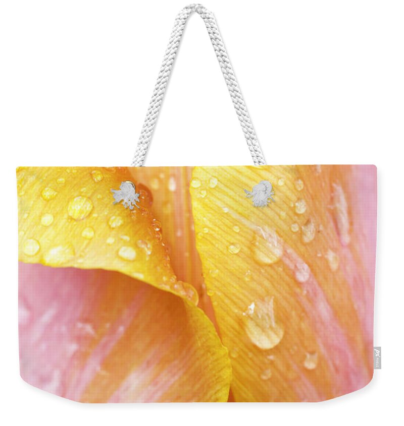 Tulip Weekender Tote Bag featuring the photograph Abstract Tulip by Patty Colabuono