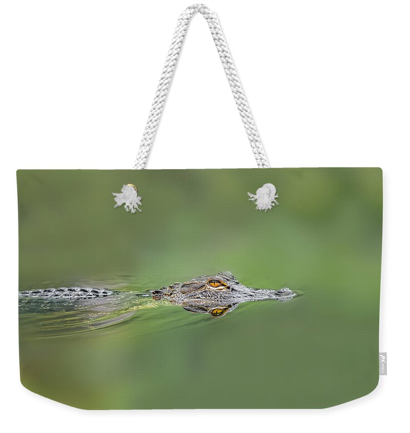 Aggression Weekender Tote Bag featuring the photograph Alligator #2 by Peter Lakomy